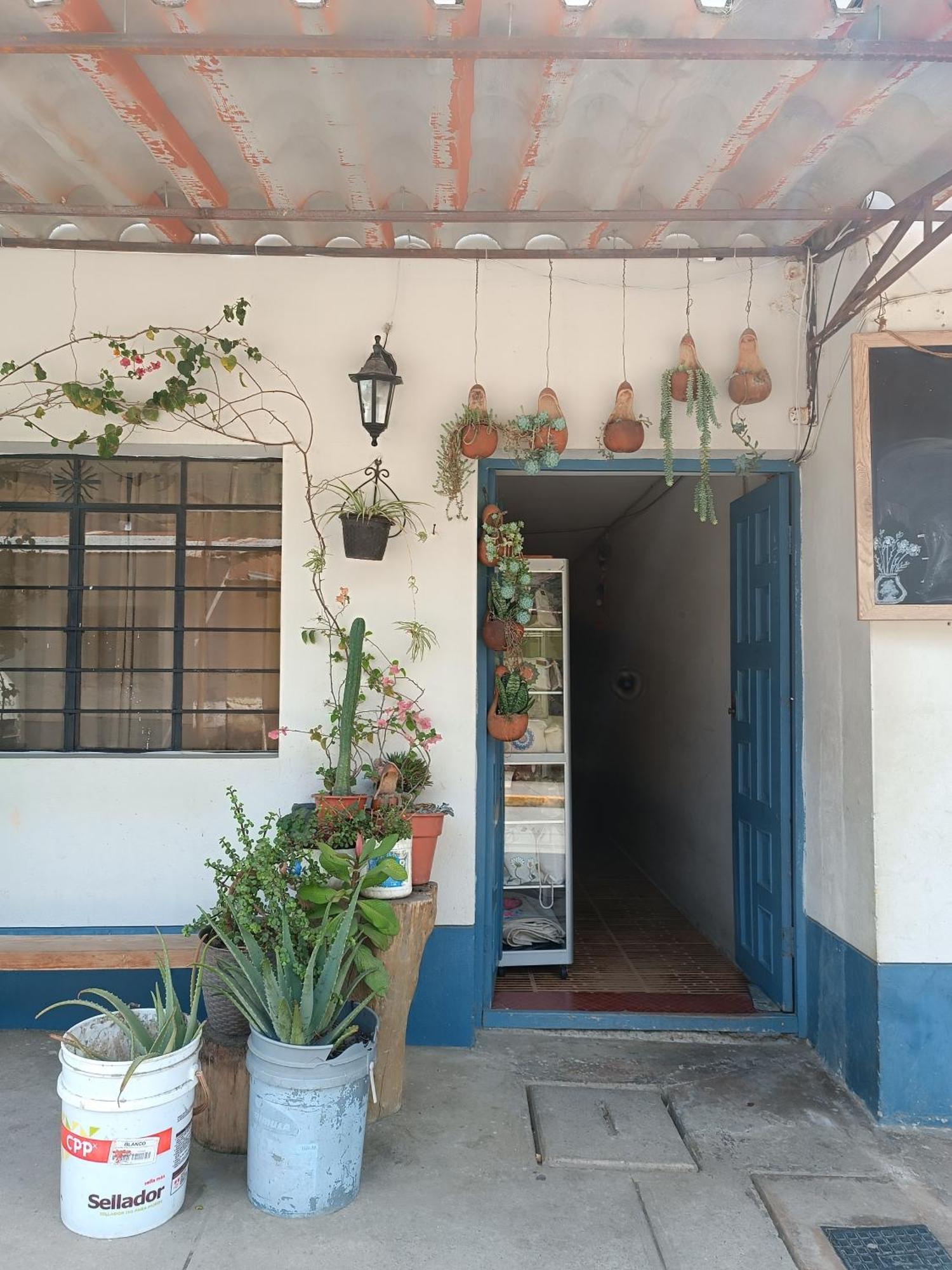 Hospedaje Quillabamba Santa Teresa (Cusco) Exterior foto